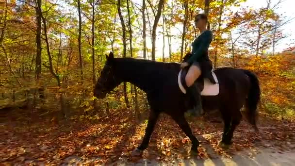 LENS FLARE: Giovane donna porta il suo cavallo a fare un giro lungo un sentiero nella foresta illuminato dal sole. - Filmati, video