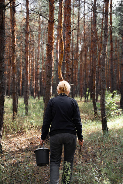 Woman in forest on a sunny day. Pine high trees. Close to nature, mental healing with fresh air. Digital detox, unplugged on nature. survival skills - Фото, зображення