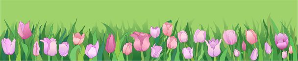 Tulips - Vector, Imagen