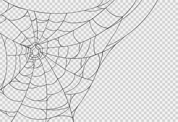 Halloween party háttér pókháló elszigetelt png vagy átlátszó textúra, üres hely a szöveg, elem sablon poszter, prospektusok, online reklám, vektor illusztráció  - Vektor, kép