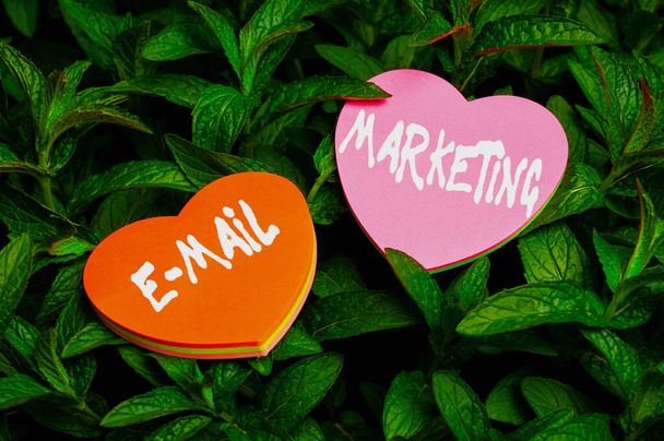 Rukopis E Mail Marketing. Internet Concept Ecommerce Reklama Online prodej Newsletters Propagace Srdce tvarovaný papír Na vrcholu venkovní přírody list rostlin Bush. - Fotografie, Obrázek