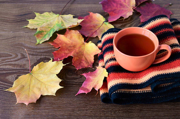 Cup of tea on warm knitted scarf and yellow maple leaves on wooden table. Concept of autumn, home comfort and warmth. Colorful nature - Fotografie, Obrázek