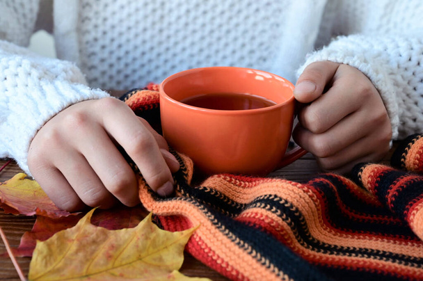 girl's hands in knitted white sweater hold cup of tea, yellow autumn leaves and warm scarf on wooden table. Hello, autumn - Fotografie, Obrázek