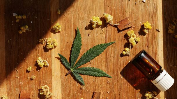 Piatto di foglie di cannabis. Essenza di olio CBD. Sfondo in legno. Terapia erboristica  - Foto, immagini