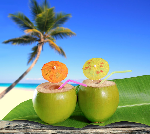 Fresh coconuts straw cocktails tropical palm tree beach - Foto, Imagen