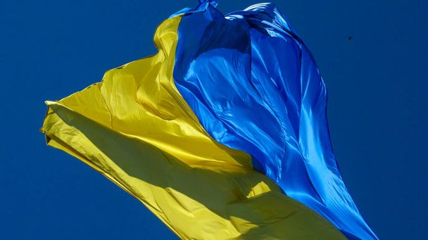 ウクライナの黄色と青の旗が風になびく - 写真・画像