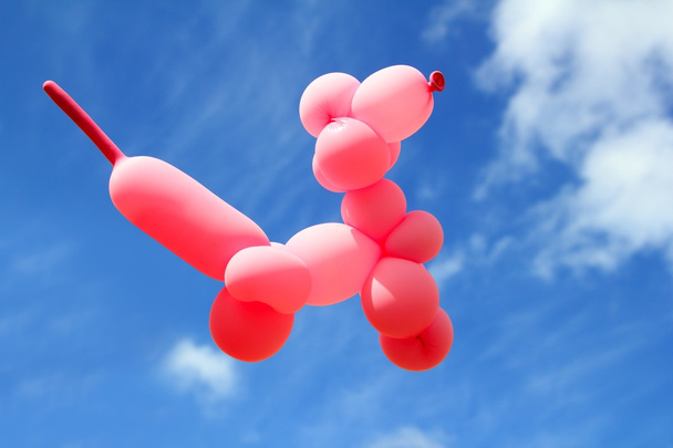 Balloon with poodle dog caniche shape fly blue sky - Fotografie, Obrázek