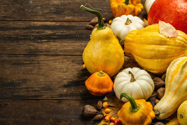 Various pumpkins and squashes harvest. Beautiful autumn background with decorative and edible vegetables, berries, nuts and fall leaves. Vintage wooden background, copy space - Photo, Image