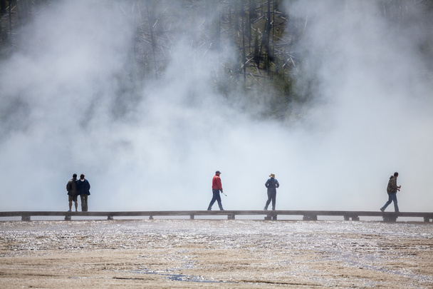 イエローストーン国立公園で霧で観光 - 写真・画像