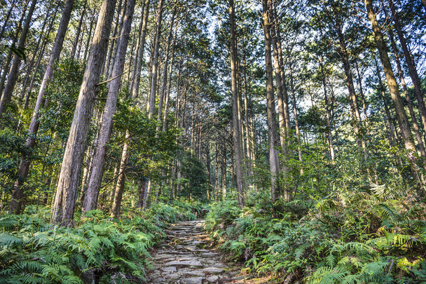 Перевал Мацумото в Кумано, Япония
 - Фото, изображение