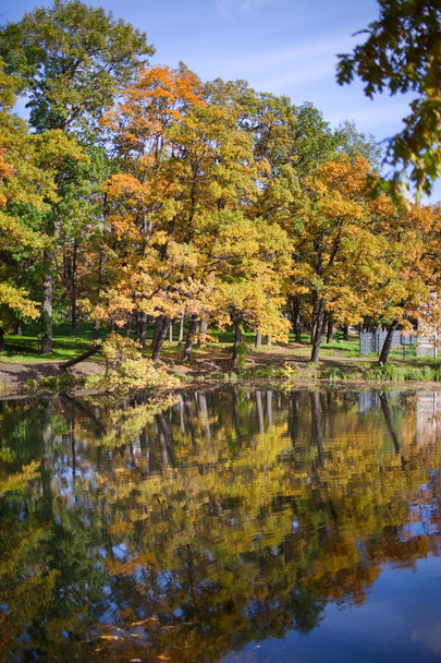 The bright autumn wood is reflected in the lake - Photo, image