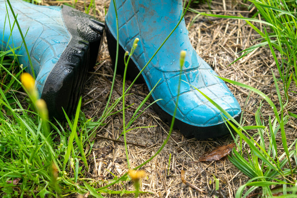 Ένα ζευγάρι μπλε μπότες καουτσούκ στο πράσινο γρασίδι - Φωτογραφία, εικόνα