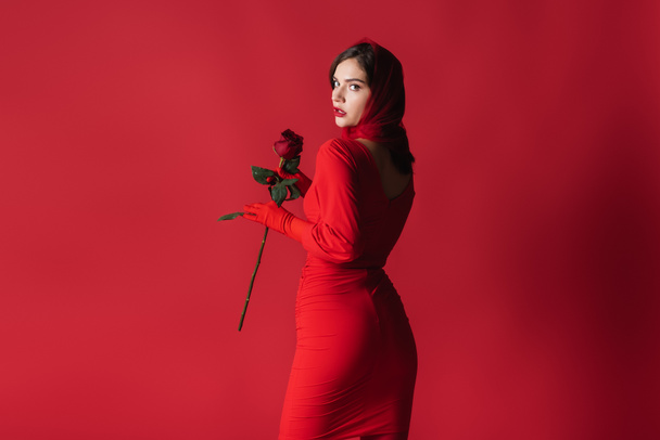 elegáns fiatal nő ruha gazdaság rózsa, miközben áll a piros - Fotó, kép