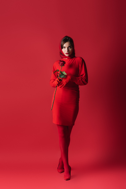full length of elegant young woman in dress holding rose while standing on red - Foto, imagen