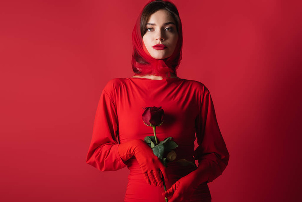 young confident woman in dress and headscarf holding rose while looking at camera on red - Foto, immagini