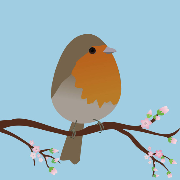 Un pájaro robin muy lindo en forma de huevo. Fondo azul. El pájaro se sienta en una rama con flores rosadas. - Vector, imagen