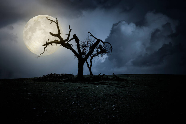 ハロウィーンの夜背景に満月、不気味な裸木 - 写真・画像