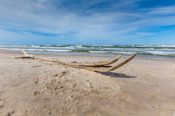 Parque de dunas móveis perto do Mar Báltico em Leba, Polônia
  - Foto, Imagem