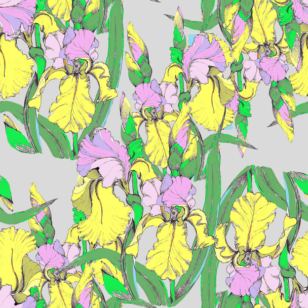 Colored irises - Valokuva, kuva
