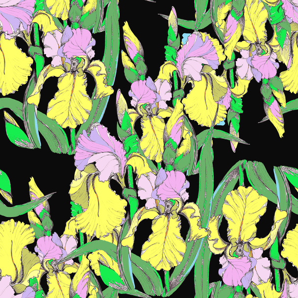 Colored irises - Фото, зображення