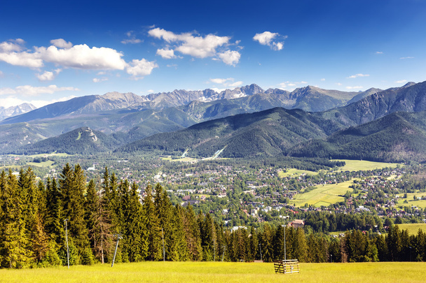 stad van zakopane en Tatra gezien vanaf de afstand - Foto, afbeelding