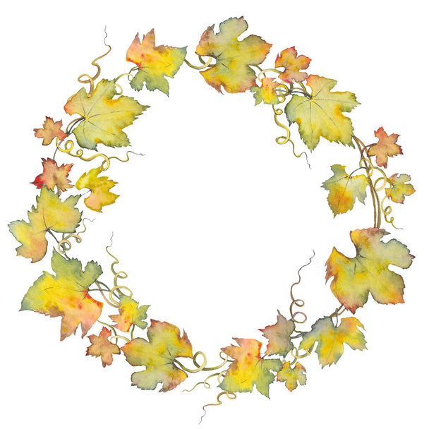 Autumn wreath with grape leaves. - Zdjęcie, obraz
