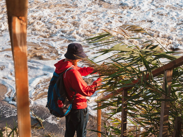 スマートフォンの秋の海の乾燥葦の写真を撮ると赤いパーカーのバックパックにひげを生やした千年男。本物の男性観光ブロガー男のライフスタイルソロ旅行アドベンチャーコンセプトアクティブウォーキングバックパッキング - 写真・画像