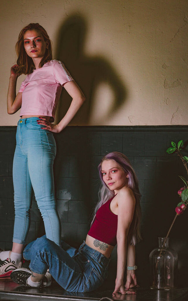 twins sisters in jeans in a photo studio - 写真・画像