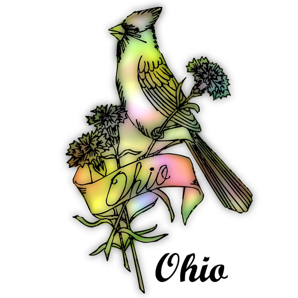 Ohio devlet kuşu - Fotoğraf, Görsel