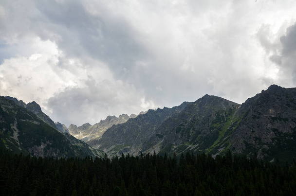 Nuvens baixas árvores de abeto verde e montanhas rochosas. Tatras altos em dia nebuloso nublado. Caminho entre Popradske Pleso e Strbske Pleso, Eslováquia - Foto, Imagem