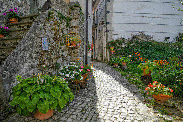 Wąska uliczka Carpinone, średniowieczne miasto prowincji Isernia, Włochy. - Zdjęcie, obraz