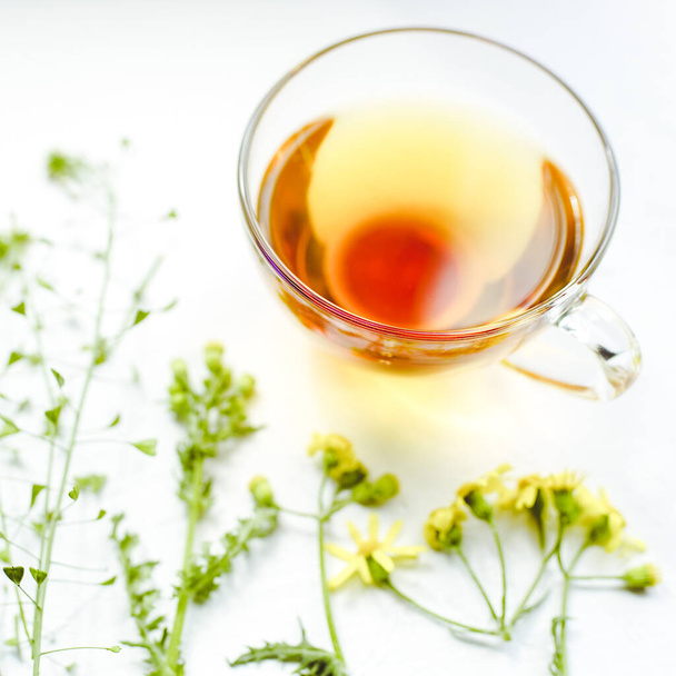Травяной чай в стакане. Травы и цветы на белом столе вокруг кружки с напитком. - Фото, изображение