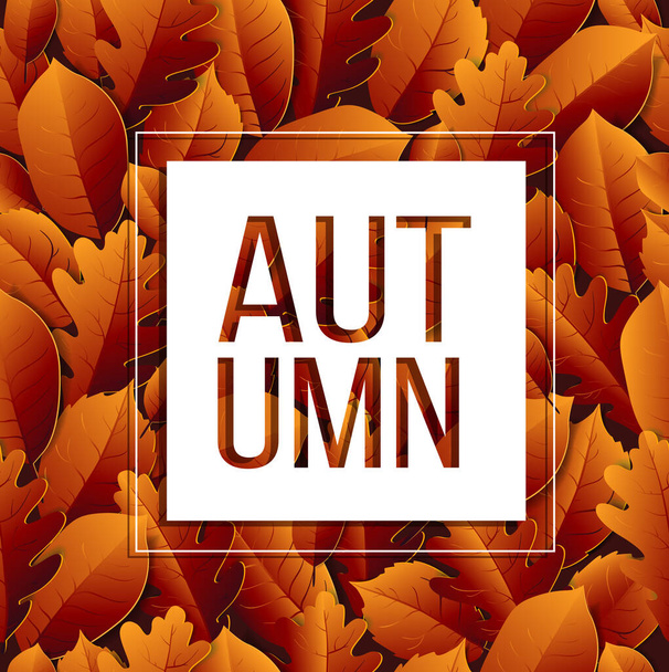 autumn background with yellow leaves - Vector, imagen