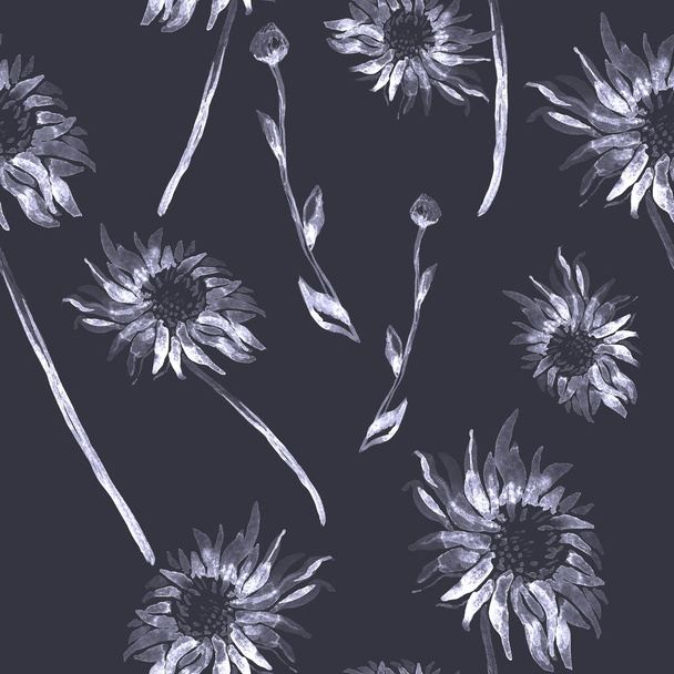 Black and white Chrysanthemum flowers isolated on black. - Fotografie, Obrázek