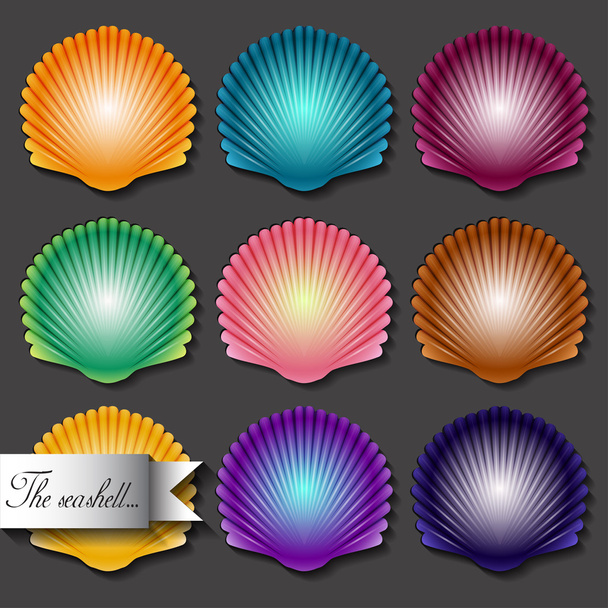 Sea scallop seashell set icon. Vector. - Vector, Image