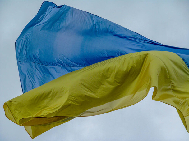 Žlutá a modrá vlajka Ukrajiny na stožáru v parku za oblačného počasí - Fotografie, Obrázek