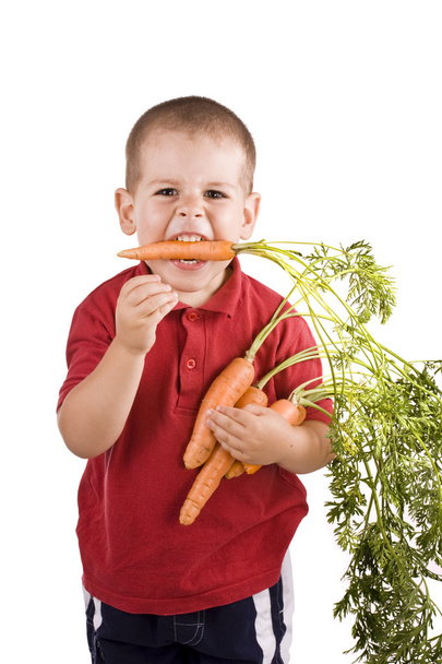 Children and carrots - Фото, зображення