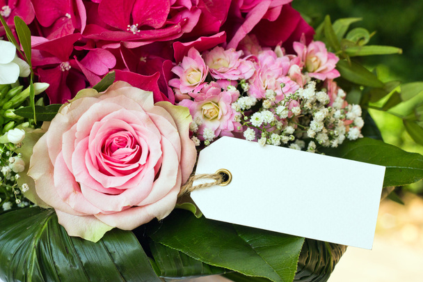 рожеві квіти
 - Фото, зображення