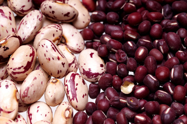 Different beans - Foto, imagen