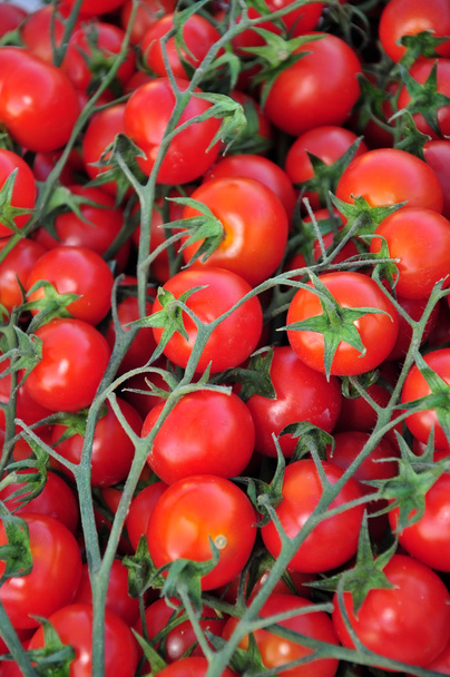 Tomaten im Hintergrund - Foto, Bild