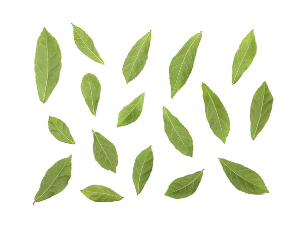 колекція назад свіже зелене листя на білому фоні
 - Фото, зображення