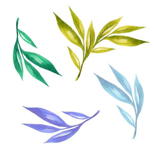 Renkli yapraklar, tasarım elementleri olarak suluboya. El çizimi stili. Beyaz arkaplanda izole - Fotoğraf, Görsel