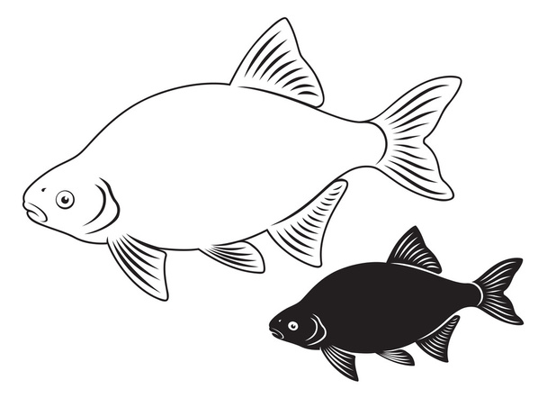 pesce sarago
 - Vettoriali, immagini
