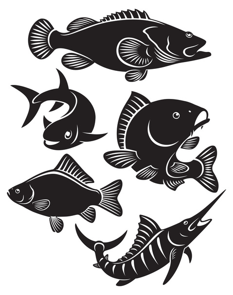 Erilaisia kaloja
 - Vektori, kuva