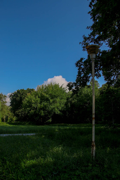 Beautiful landscape in the park in August - Valokuva, kuva