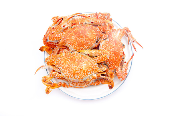 de nombreux crabes à vapeur sur un plat
 - Photo, image