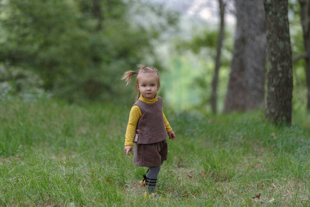 Little girl 18 months in a forest - Photo, Image