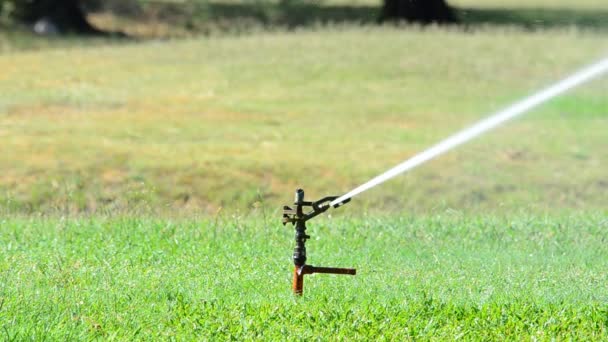 Sprinkler versprüht Wasser auf Hinterhof grünes Gras. - Filmmaterial, Video