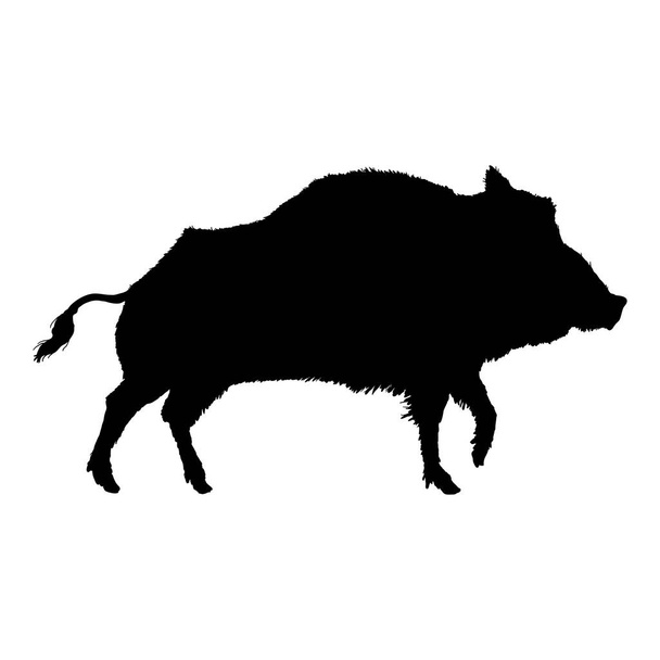 Vector Wild Boar Silhouette Illustration auf weißem Hintergrund - Vektor, Bild
