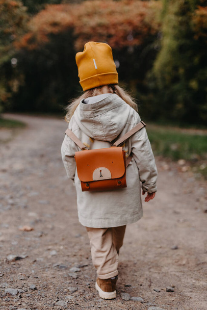 portrait of a little cute girl walking in the autumn park. photo from the back - Fotoğraf, Görsel